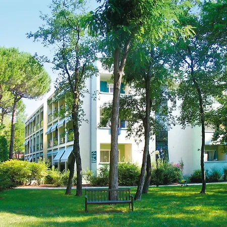 Pinewood *